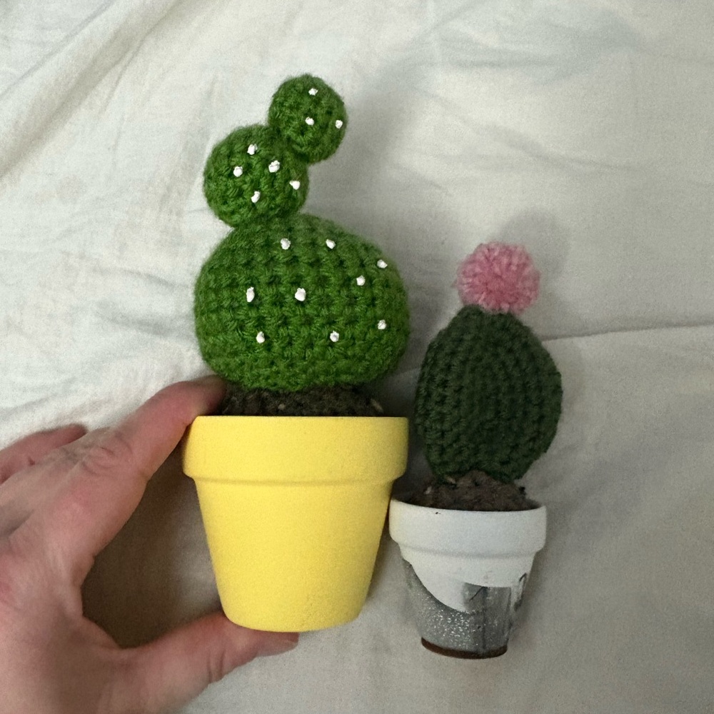 Handmade Crochet Cactus Decor Set